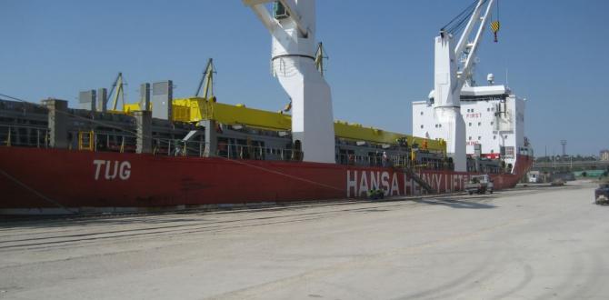 Veslam Shipping lead the Constructions of STS PACECO Crane in Constanta Port