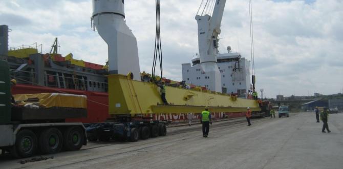 Veslam Shipping lead the Constructions of STS PACECO Crane in Constanta Port