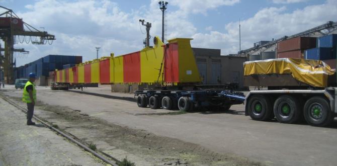 Veslam Shipping lead the Constructions of STS PACECO Crane in Constanta Port