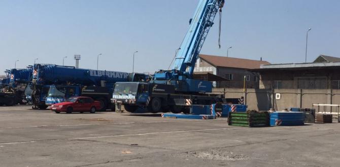 Veslam Shipping lead the Constructions of STS PACECO Crane in Constanta Port