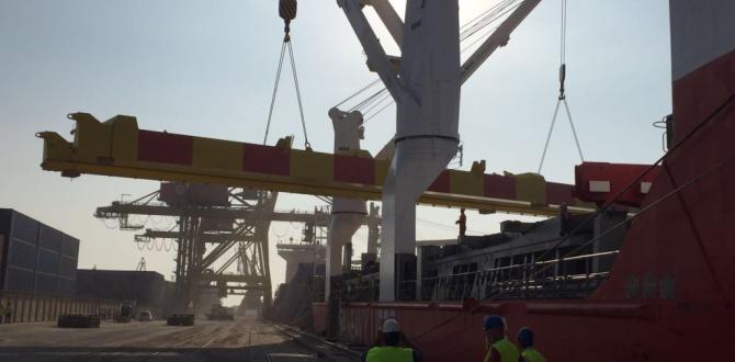 Veslam Shipping lead the Constructions of STS PACECO Crane in Constanta Port
