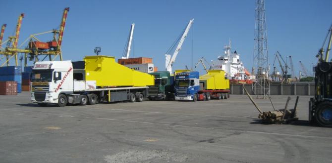 Veslam Shipping lead the Constructions of STS PACECO Crane in Constanta Port