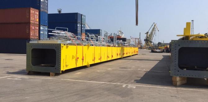 Veslam Shipping lead the Constructions of STS PACECO Crane in Constanta Port