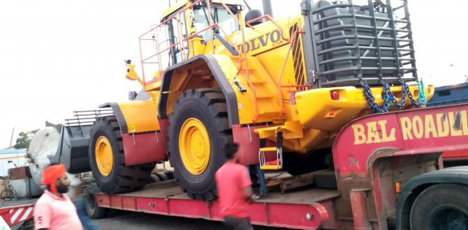 Green Channel Forwarders with Delivery of 2 Wheel Loaders