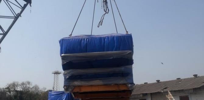 Green Channel India Load Oversized Cargo Destined for Canada