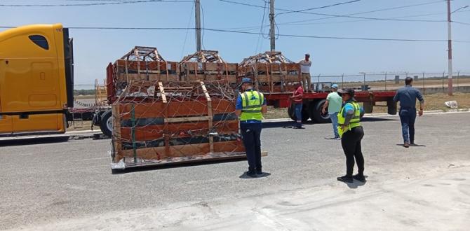 Caribbean International Cargo Deliver Historic Milestone